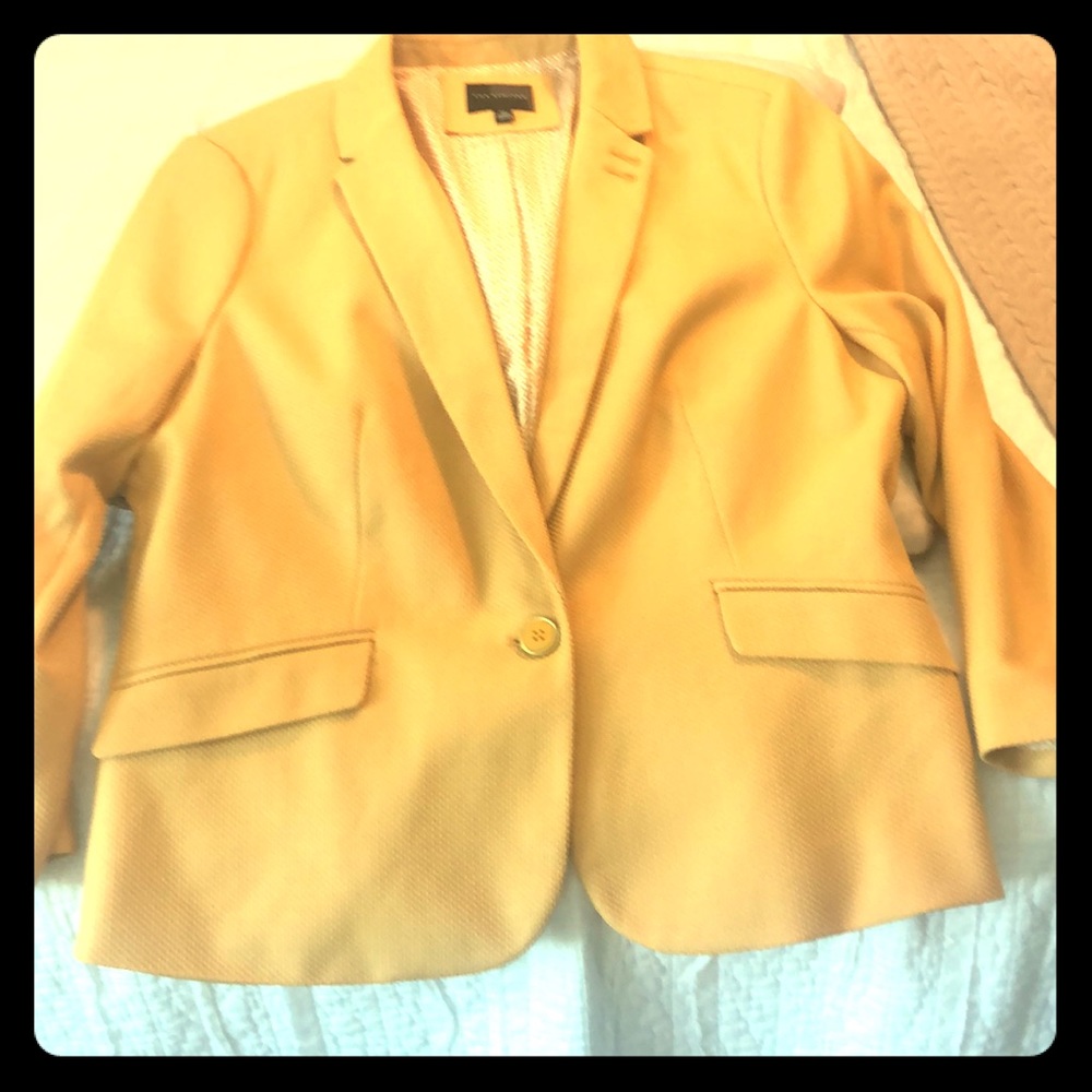 Yellow jacket